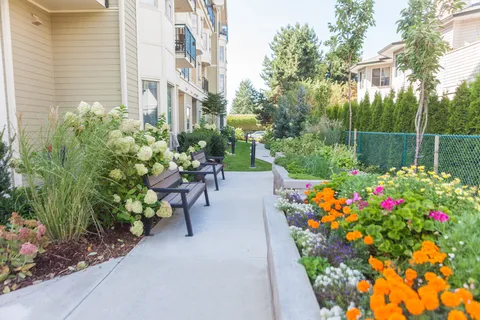 Garden courtyard with planting beds and a paved path.