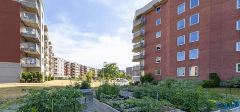 Garden beds and a gazebo between residence buildings