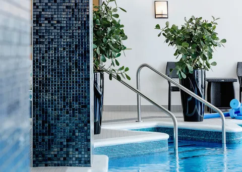 Indoor swimming pool with tiled steps, handrails and potted plants