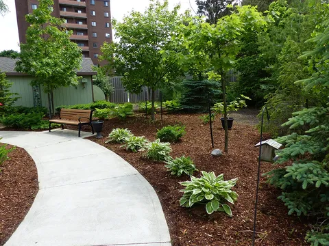 Curved garden path with a wooden bench, shrubs, small trees and a birdhouse