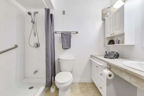Bathroom with a walk-in shower, grab bars, toilet and white vanity