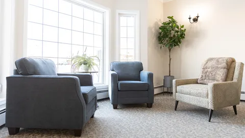 Three armchairs beside large windows and a potted tree