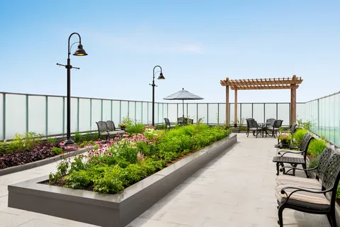 Rooftop garden with benches, planted beds and a pergola.