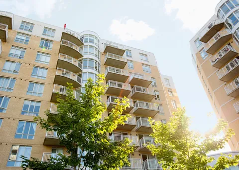 Tall residence with balconies and curved bay windows above leafy trees