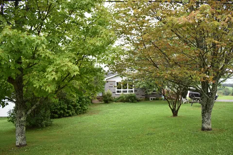 Tree-lined lawn beside the residence.