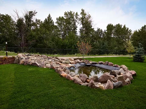 Pond with a rock border, grass and shrubs