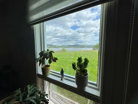 View through a window of potted plants, a lawn and water