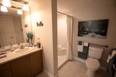 Bathroom with a sink, mirror, toilet, shower and waterfall wall picture