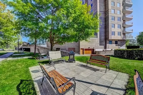 Wooden benches on a paved patio beside a lawn and trees