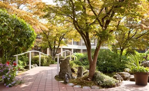 Garden path and footbridge among trees and planted borders.