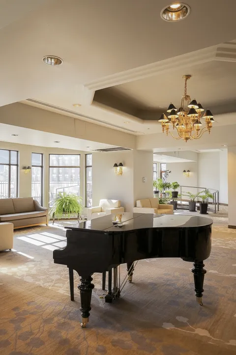 Lounge with a black grand piano, sofas, armchairs, potted plants and a chandelier