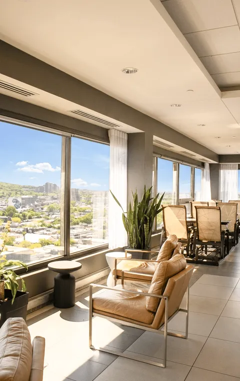 Armchairs and potted plants beside tall windows overlooking the city