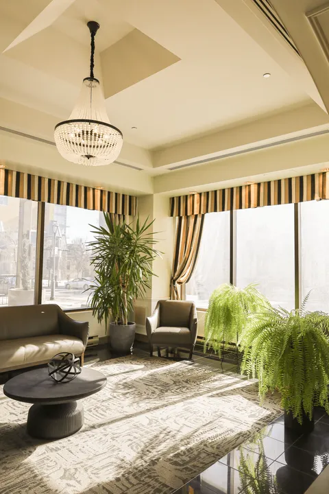 Seating area with a sofa, armchair, round table, chandelier and large potted plants