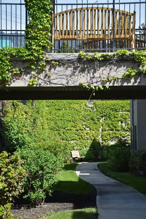 Garden walkway with benches and flowering plants