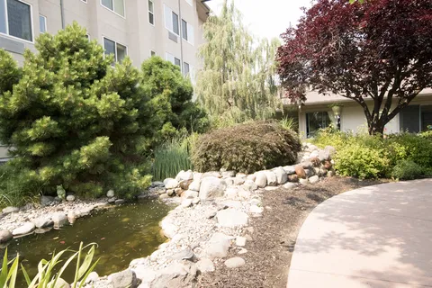 Garden path beside the building with flowering shrubs