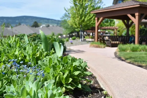 Garden patio with flower beds, a path and a pergola