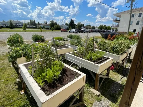 Raised garden beds beside the residence.