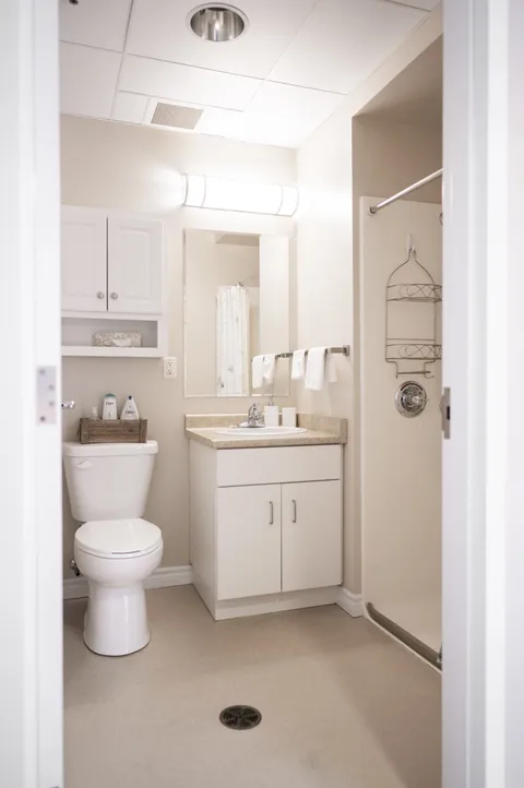 Bathroom with a toilet, sink, mirror and shower