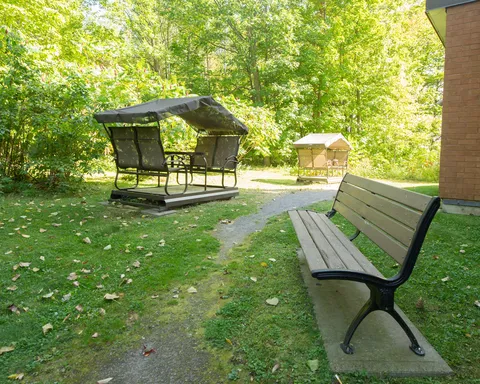 Lawn with a bench, covered garden swing and trees beside the residence