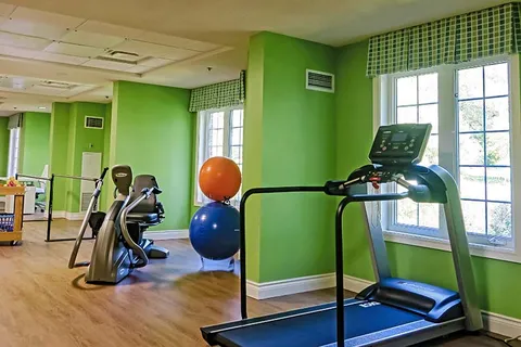 Fitness room with a treadmill, exercise bike, parallel bars and exercise balls