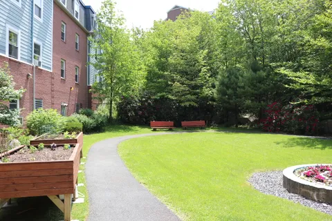 Garden lawn and curved path beside raised planting beds.