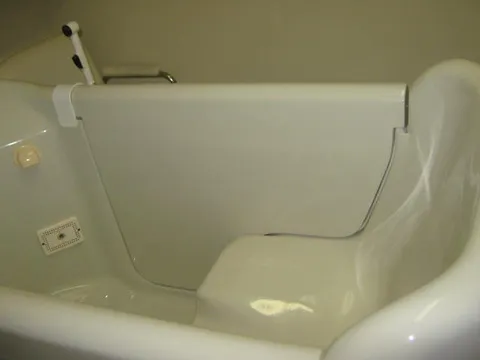 Accessible bathtub with grab bars and a handheld shower.