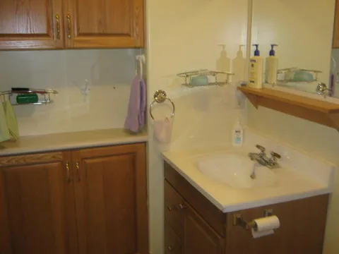 Bathroom vanity with wooden cupboards and a sink.