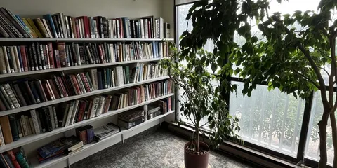 Library bookshelves beside large windows and potted trees