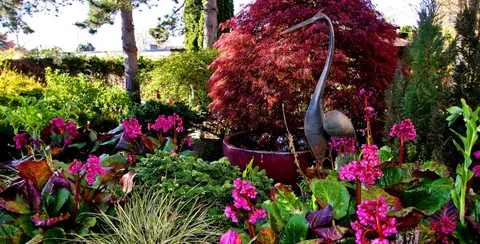 Garden with flowering plants, a red-leaved tree and a bird sculpture