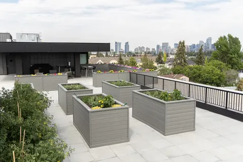 Rooftop terrace with raised planters and a distant city skyline