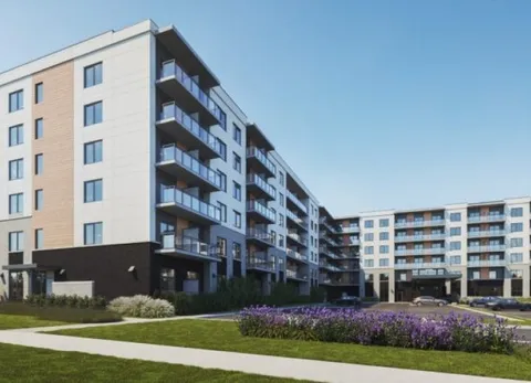 Multi-storey buildings with balconies beside a lawn and purple flowers