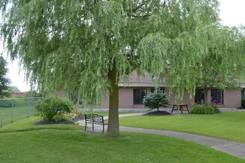 Lawn and curved path beneath a large willow tree
