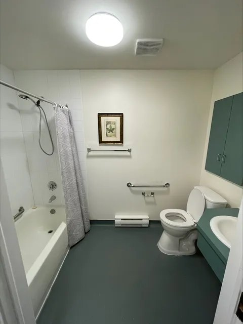 Bathroom with a sink, toilet, bathtub and support rails