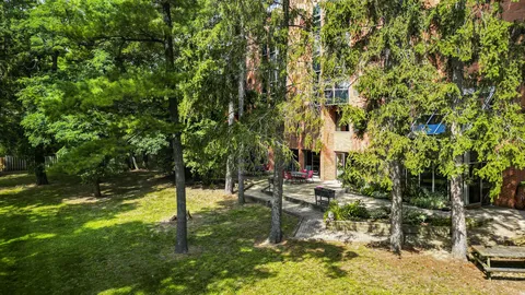 Garden lawn and mature trees beside a brick building