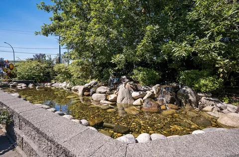Garden pond edged with rocks beneath trees and shrubs