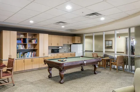 Games room with a billiards table, bookshelves and cabinets