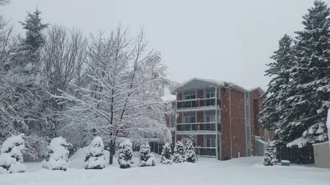 Residence balconies and surrounding trees covered in snow.
