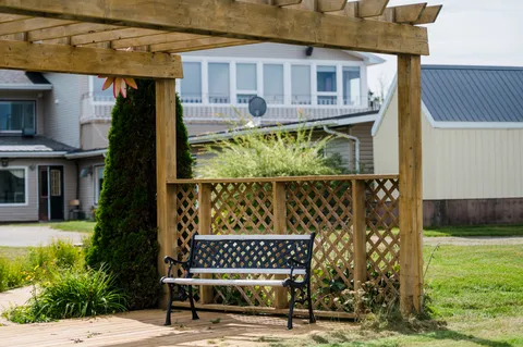 Garden bench beneath a wooden pergola beside planted beds and a lawn