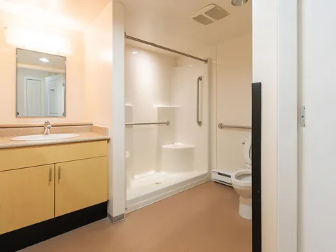 Accessible suite bathroom with vanity, shower and grab bars.