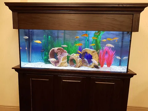 Aquarium set in a wooden cabinet.