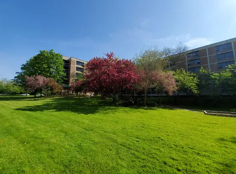 Lawn and flowering trees beside the residence.