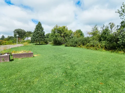 Lawn with raised garden beds beside trees and shrubs