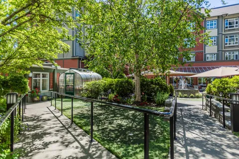 Garden path beside planted beds and a greenhouse