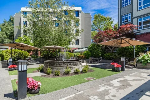 Courtyard lawn and garden beds beside the residence