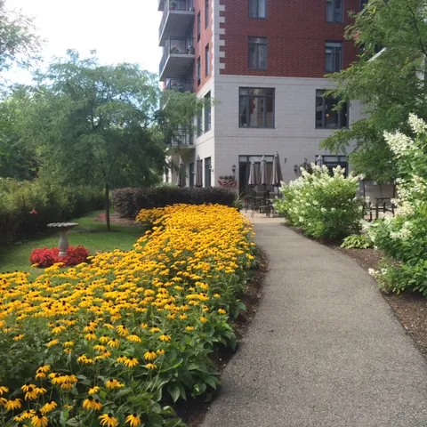 Garden path beside yellow flowers and the residence.