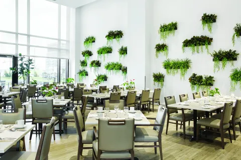 Dining room with green chairs, set tables and wall-mounted plants.