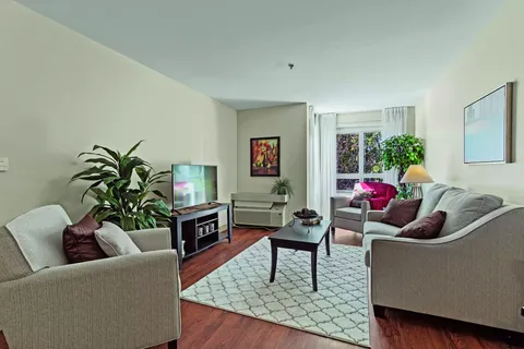 Sitting area with a sofa, armchairs, television and large plants