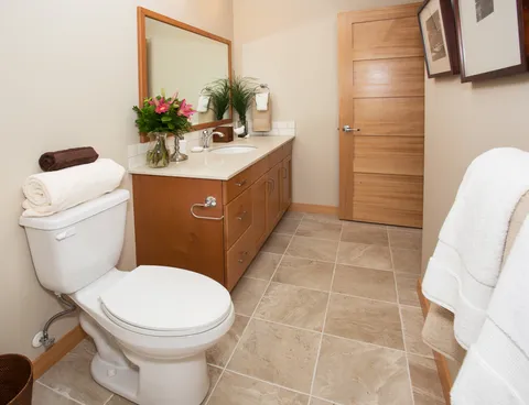 Bathroom with a vanity mirror, toilet, plants and framed artwork.