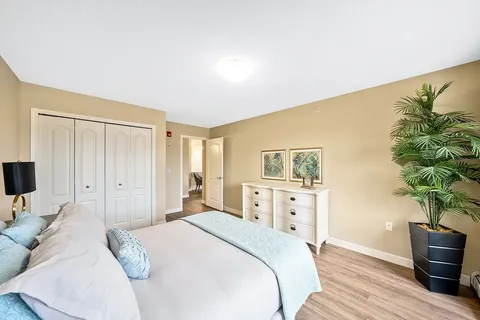 Bedroom with a double bed, white dresser, closet and potted palm
