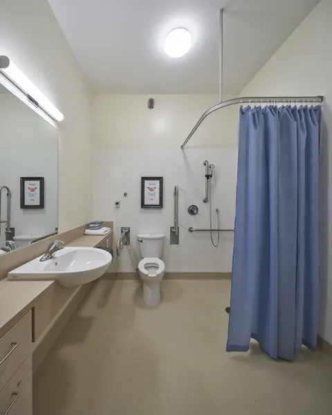 Bathroom with a sink, toilet, shower curtain, grab rails and framed butterfly prints